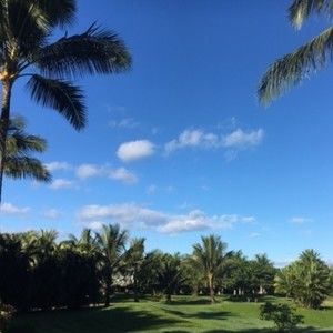 Meet your Posher, Micheline